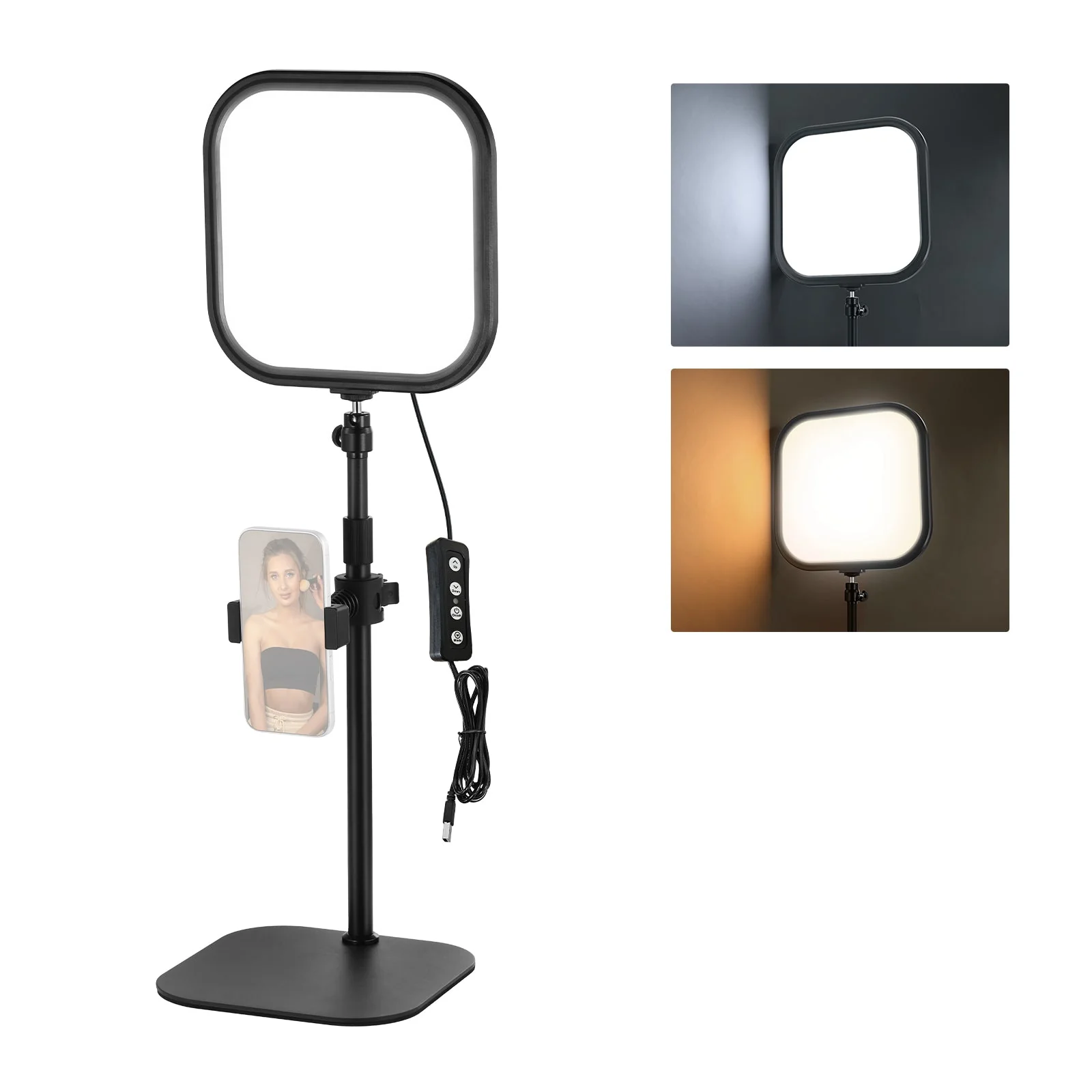 NEEWER BASICS L220 15W 10.8" Bi Color Video Conference Light Kit