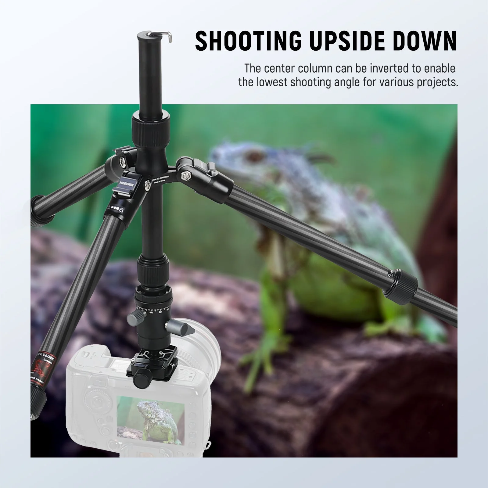 NEEWER TP39 65" Carbon Fiber Camera Tripod - Image 4